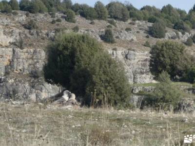 Río Duratón-Embalse de Burgomillodo;cerro san pedro ruta laguna peñalara montañas de madrid parque d